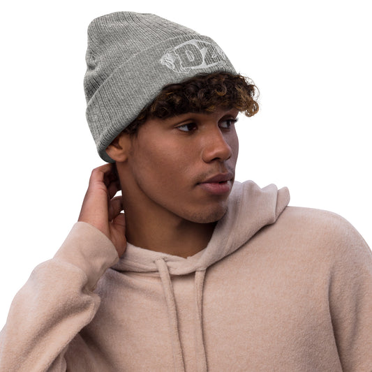 DZE Logo Ribbed knit beanie